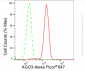 KD-Validated Anti-AGO3 Rabbit Monoclonal Antibody